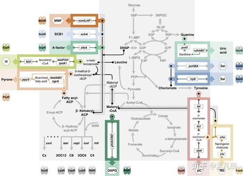 2020年合成生物學進展回顧 技術升級驅動領域跨越，通信系統集成帶來全新視野